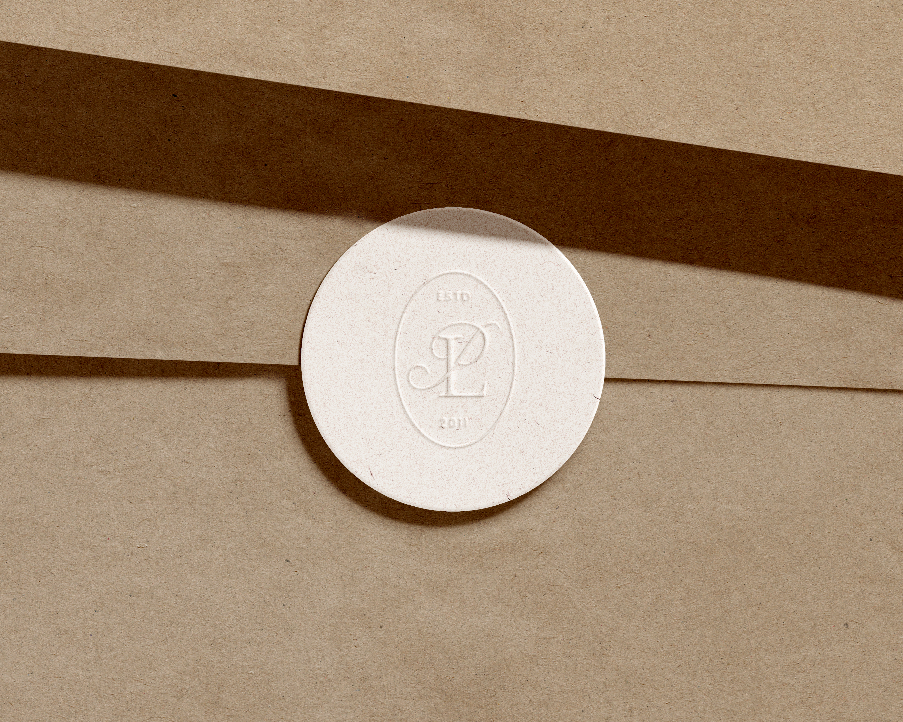 Brand Design Packages (Design Intensives + Custom Packages)