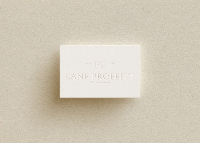 Brand Design Packages (Design Intensives + Custom Packages)