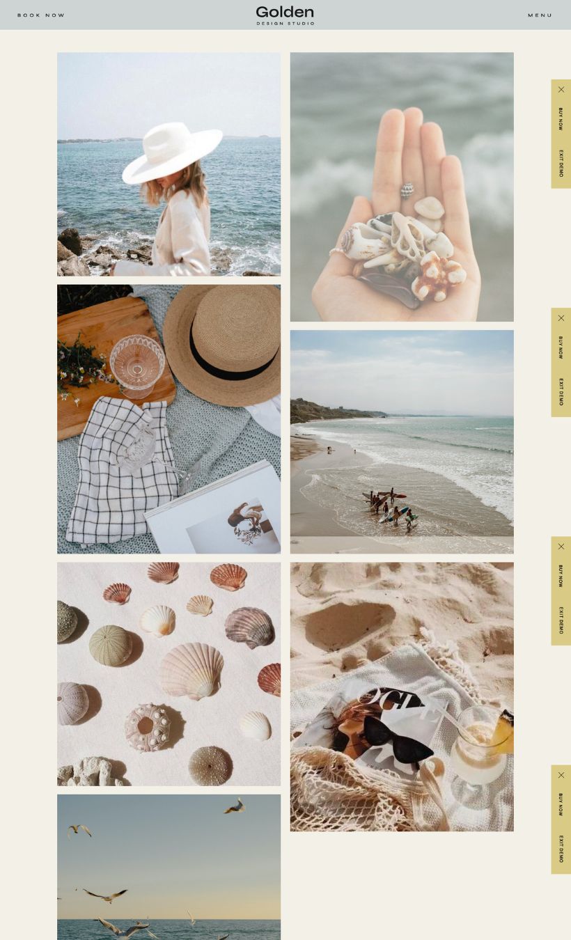 The Golden Showit Template - Image 5